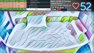 Sleep Stream 24.08.2025