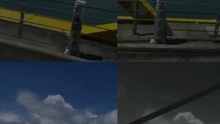 生活其实很简单，过了夏天就是秋天。希望秋天吹来的风，不仅有温柔，还有好运