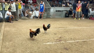 2 hits Champion. Second fight