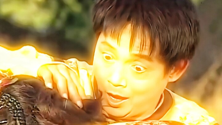 A man unintentionally saved an injured golden toad—and unexpectedly reaped immense blessings.