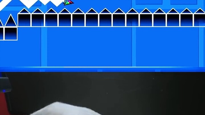 【老鼠舞挑战】