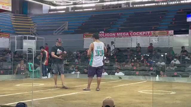 ROLIGON BULIK W