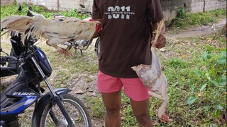 sinibalang