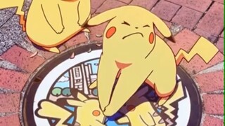 我拔井盖上的花爱你呀～