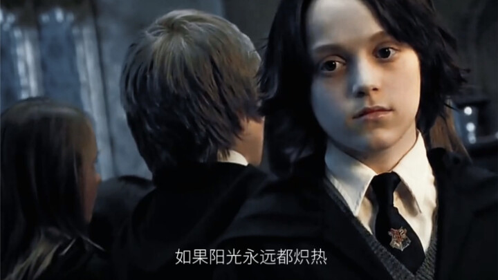 "Slytherin used ambition to cultivate one infatuated child after another"