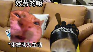 春节假期生存指南