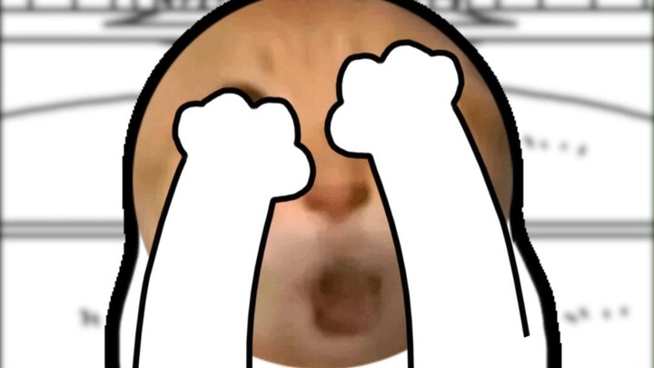 基米小学：波林是捉迷藏冠军！