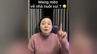 Nếu bạn nhặt được mèo thì bạn có nuôi em ấy không ??? mèocute tiktok LearnOnTikTok meow cat meomeo dcgr mèo