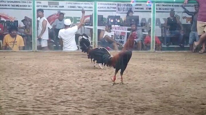 Asil Cross - Almost UNSCRATCHED....