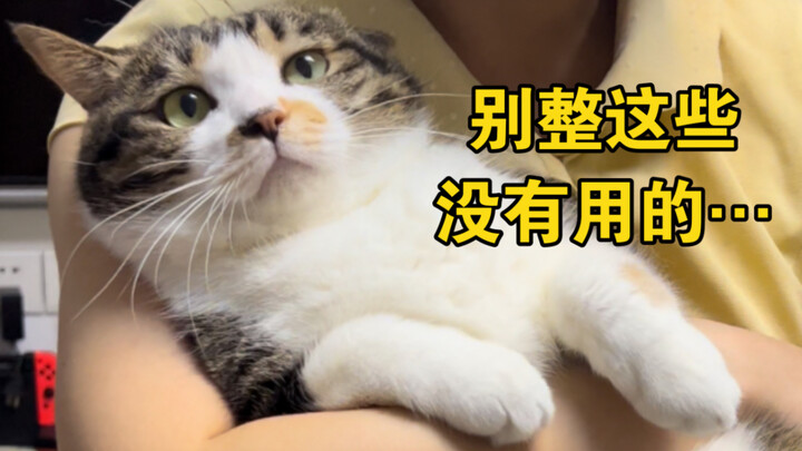 Kucingku sepertinya agak alergi sama yang namanya romansa…