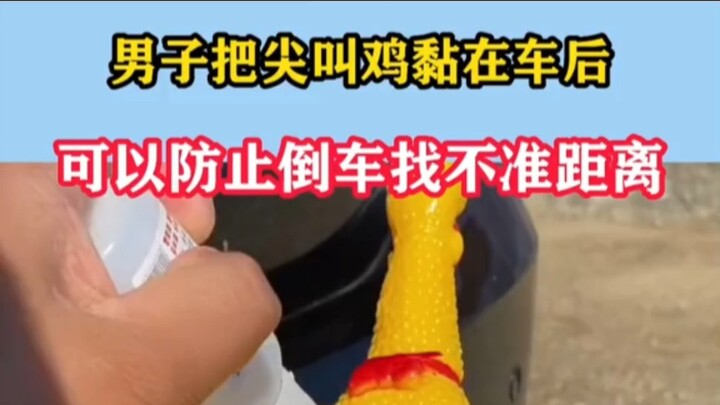 ชายคนหนึ่งติดไก่ร้องเสียงแหลมไว้ที่ท้ายรถ เพื่อช่วยป้องกันการถอยจอดที่กะระยะไม่พอดี วิดีโอ...
