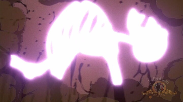 Долина папоротников  Valley of Ferns 蕨类谷