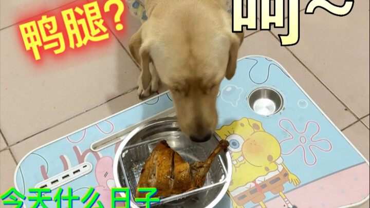 Tôi không đói, bạn ăn đi!