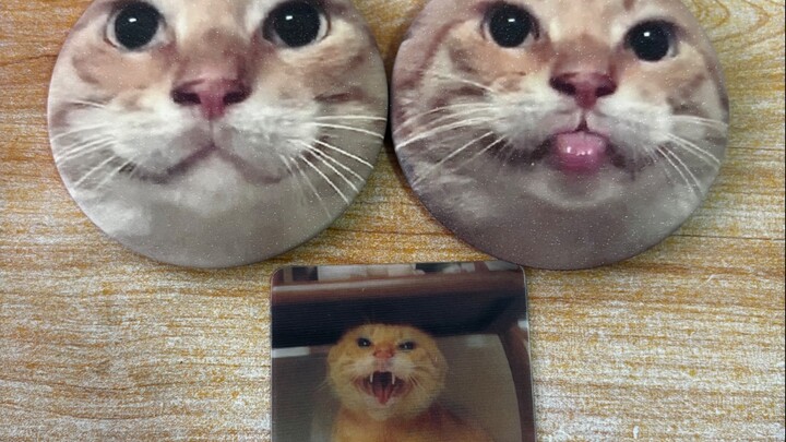 แกะกล่องบีชเชอร์หัวกลมวัยชรา