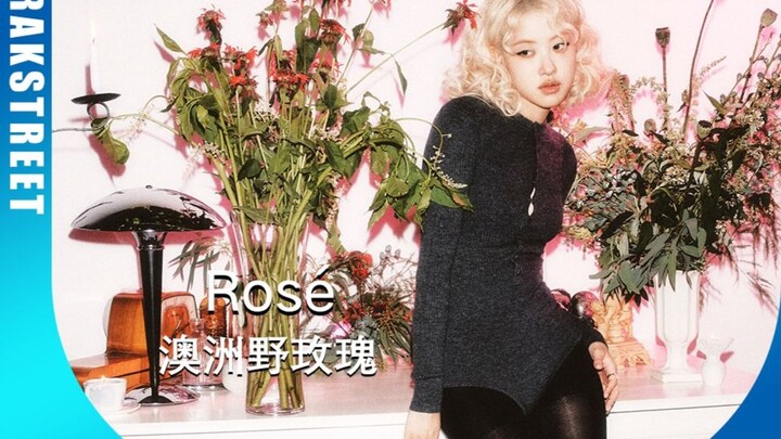 Sức hút của bông hồng này đâu chỉ có APT!