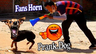 Fans Horn Prank Dog So Very Funny | Fake Tiger Prank Dog Over Village