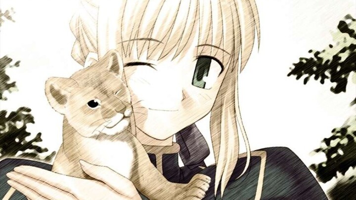 Anime|"Fate" (2004-2021）