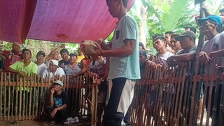 (Win) Talisay Bansot 6-9-2025