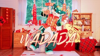 🏮 海鲜龙来给大家拜年了！🏮Kep1er《Wa Da Da》【夏夏】