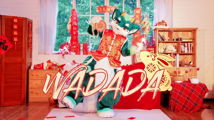 🏮 海鲜龙来给大家拜年了！🏮Kep1er《Wa Da Da》【夏夏】