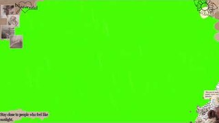 AESTHETIC VINTAGE OVERLAY PT. 04 | GREEN SCREEN