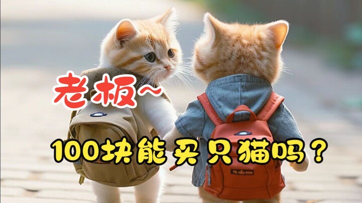 เรื่องที่ฉันซื้อแมวตัวหนึ่งกลับบ้านด้วยเงิน 100 หยวน