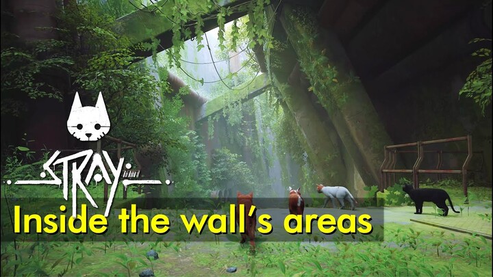 Exploring inside the wall | Stray
