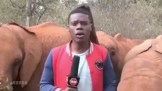 “Itu semua adegan terkenal TM”