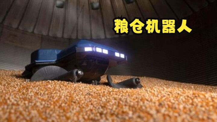 People working in a granary are trapped in a pile of grain and can be buried in it in a few seconds,