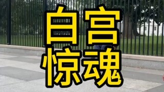 Kengerian di Gedung Putih, tangan saya yang gemetar mengunggah video ini. Sebagai seorang Tionghoa, 