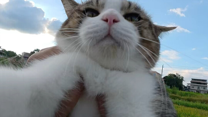 This is the cat our guys keep～