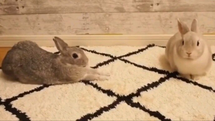 A lazy person reaches out to you