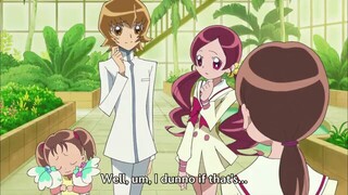 HeartCatch precure episode 41