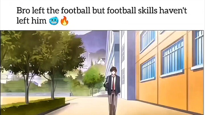 bilibili.tvthe knight of the area