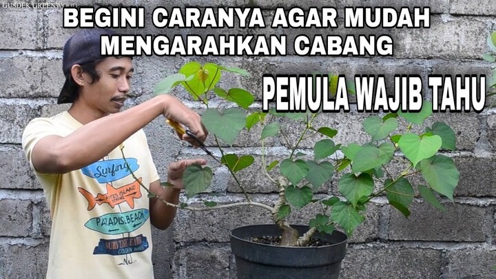 Pengarahan Cabang Waru Taiwan Bagi Pemula