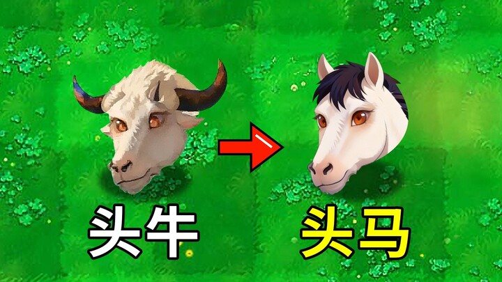 Bagaimana rasanya mengubah seekor sapi menjadi seekor kuda?