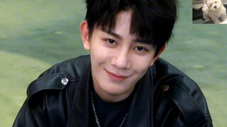 Phải làm sao đây? Một chú cún lông mượt mà đúng là không thể làm được. Trời ơi, dù có lùi lại một bư