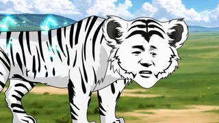 After beating the lion with its paw, the Siberian tiger is going to challenge the elephant