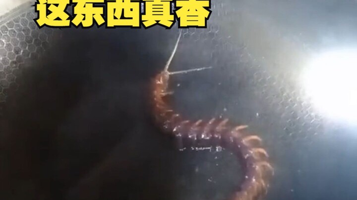 This thing is seriously awesome!