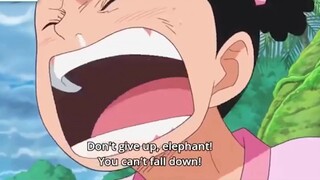 One Piece 1014 Momonosuke nghe thấy Road Poneglyph Uranus thức tỉnh p8