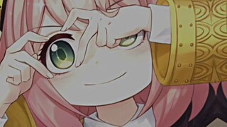loli saya