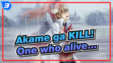 Akame ga KILL!|[Saddness]The one who survives is the one who suffers the most_3