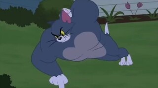 How scary is the self-disciplined Tom Cat?