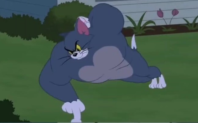 How scary is the self-disciplined Tom Cat?