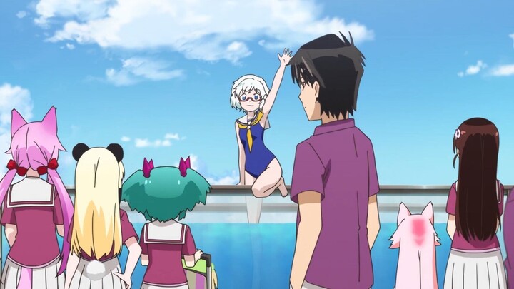 Học Viện Động Vật | Tóm Tắt Anime Hay | Clip 10