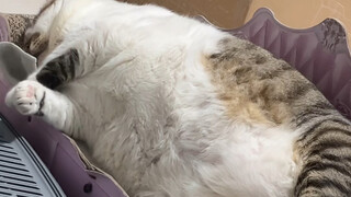 Badai di Shanghai benar-benar sangat besar