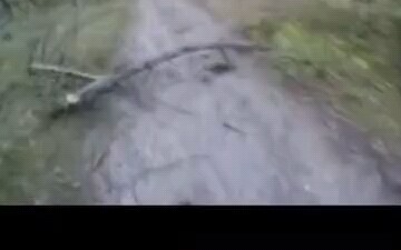 When a bear is chasing you, but you’re wearing headphones