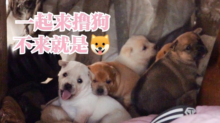 【لاو فنغ يانغ】آه آه آه آه آه آه آه آه آه آه آه آه آه آه آه آه آه آه آه آه آه آه آه آه آه آه آه آه آه