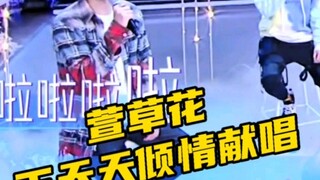 谁还没听王一博唱萱草花？