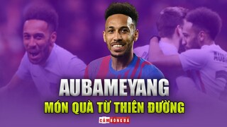 Aubameyang: Từ HÀNG THỪA Pháo thủ đến món quà của THIÊN ĐƯỜNG cho Barcelona